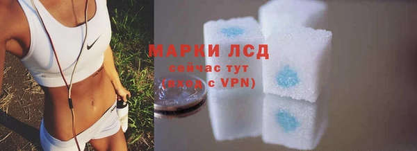 спайс Богданович