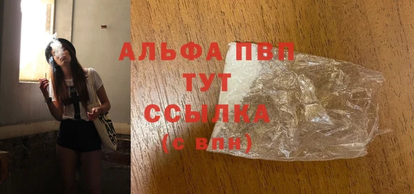 крисы Белокуриха