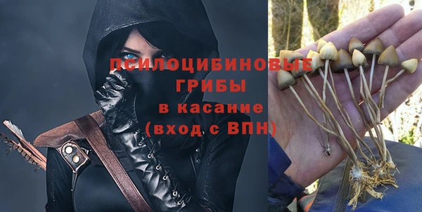 прущая мука Богородицк