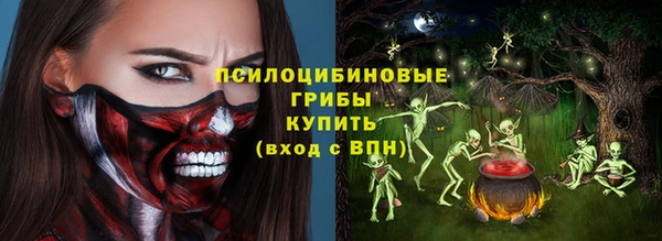 спайс Богданович