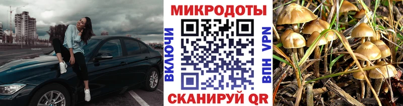 Псилоцибиновые грибы MAGIC MUSHROOMS  Купить закладки  Барабинск 